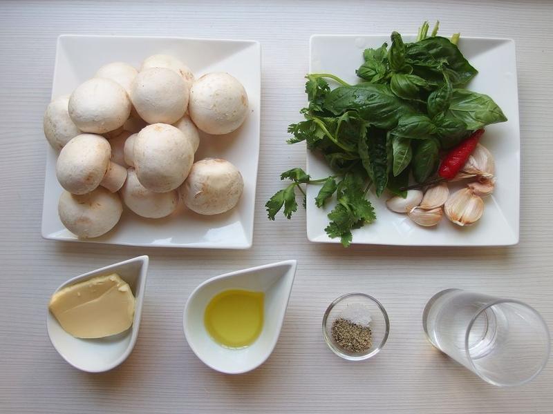 �����Ģ����������