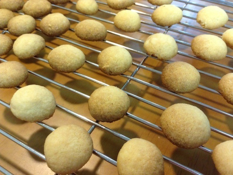 һ��ţ��С��ͷ������