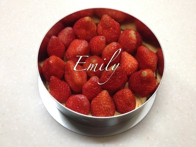 2013���ݮĽ˹���������