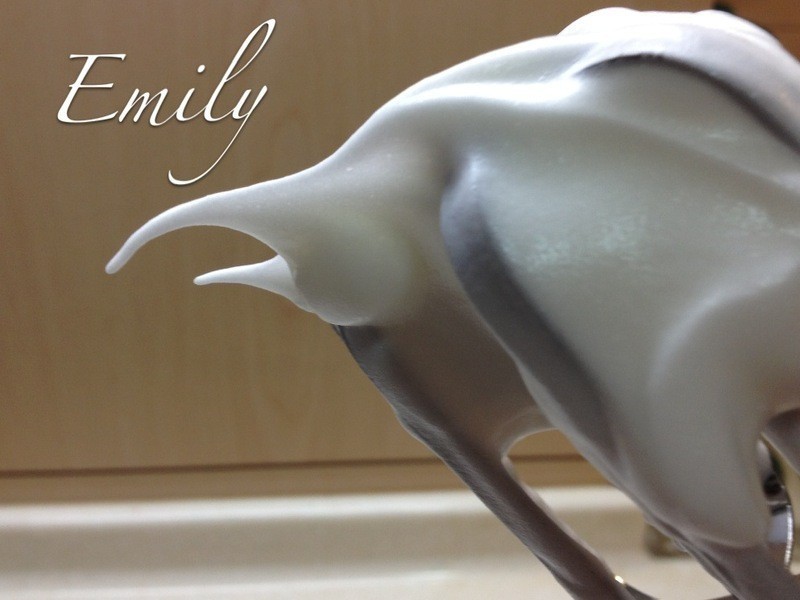 2013���ݮĽ˹���������