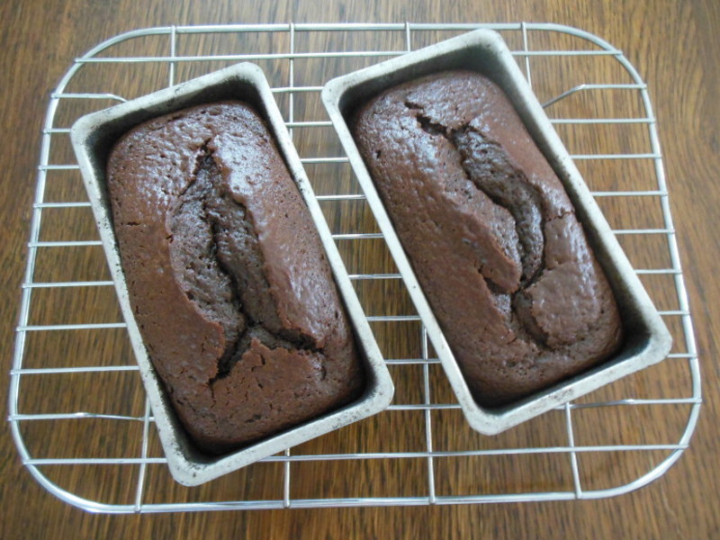 �ɿ��Ÿ񵰸������