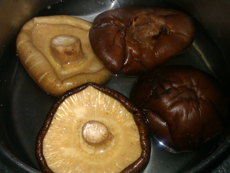 �ʹ��ܲ�������������