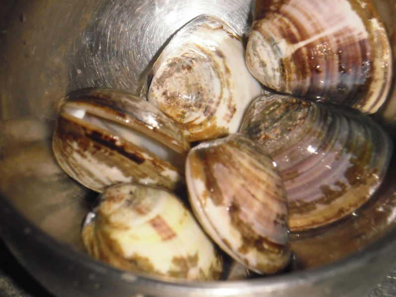 �ʹ��ܲ�������������