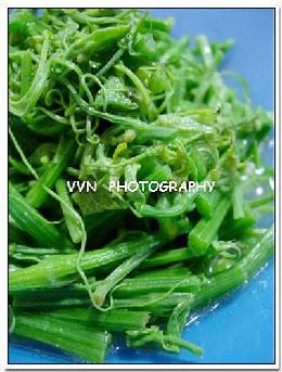 ��������˵�����