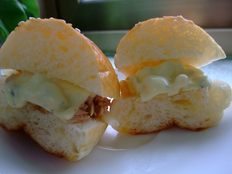 ����˾������~������