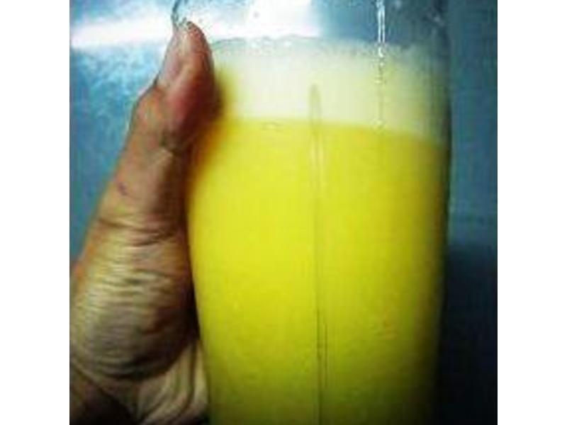 ����ԭ֭����������