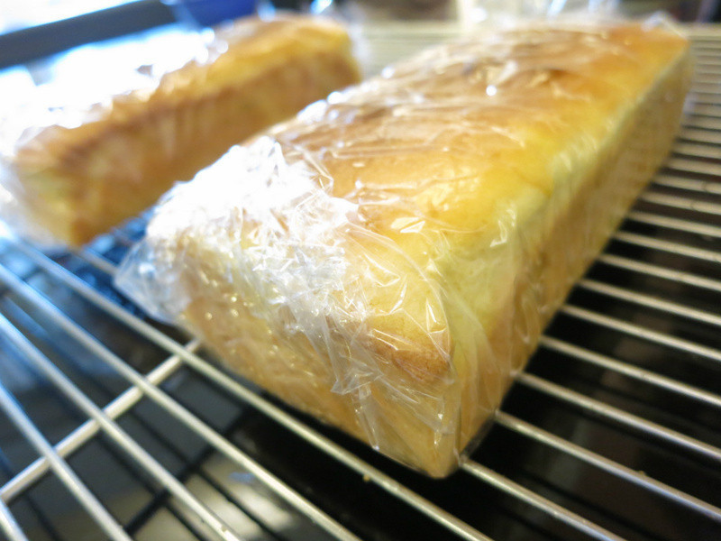 ����Ⱦư����������