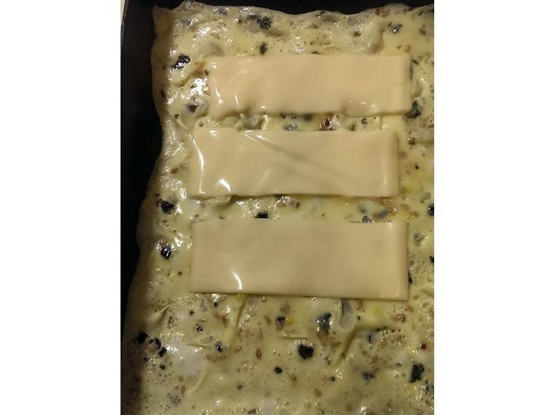 �� ��˾���ɺ��� ��������