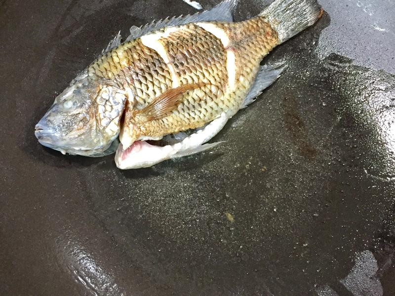 ���׽��Ǵ����������