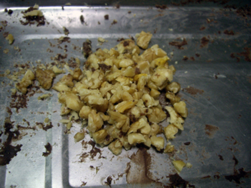 �����ɿ�������?Oly*������