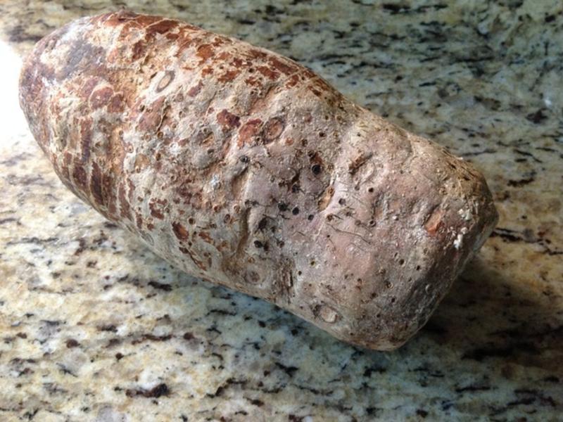 �����۵ĵ����ͷ��?!!!������