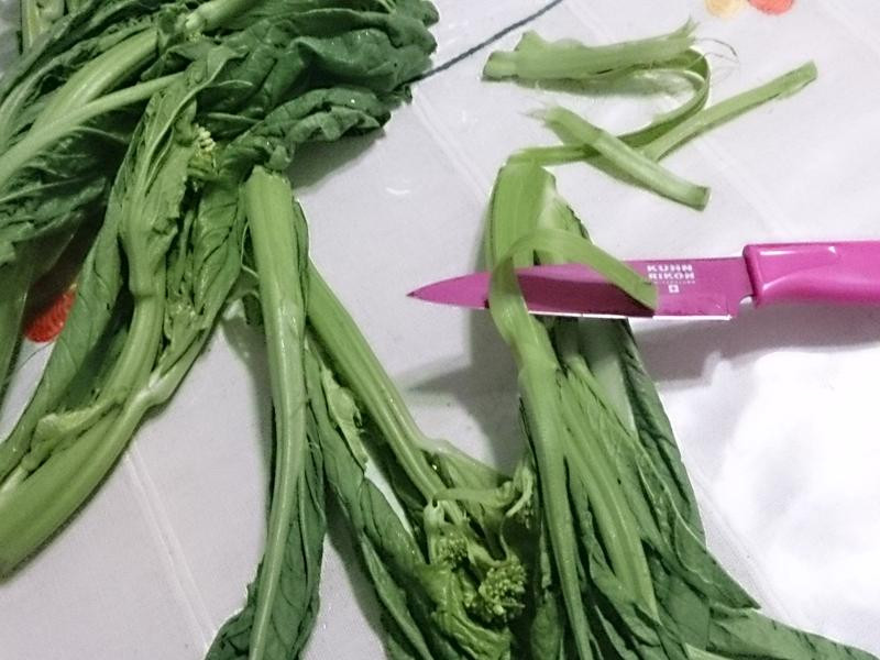 lanni ��˵�����