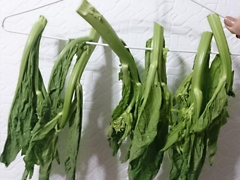 lanni ��˵�����