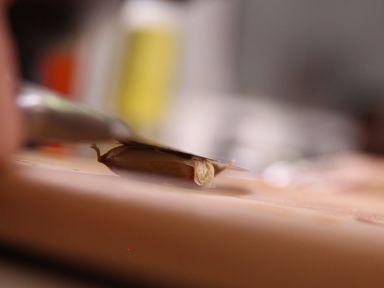 ����Ϲϻ⼦��������