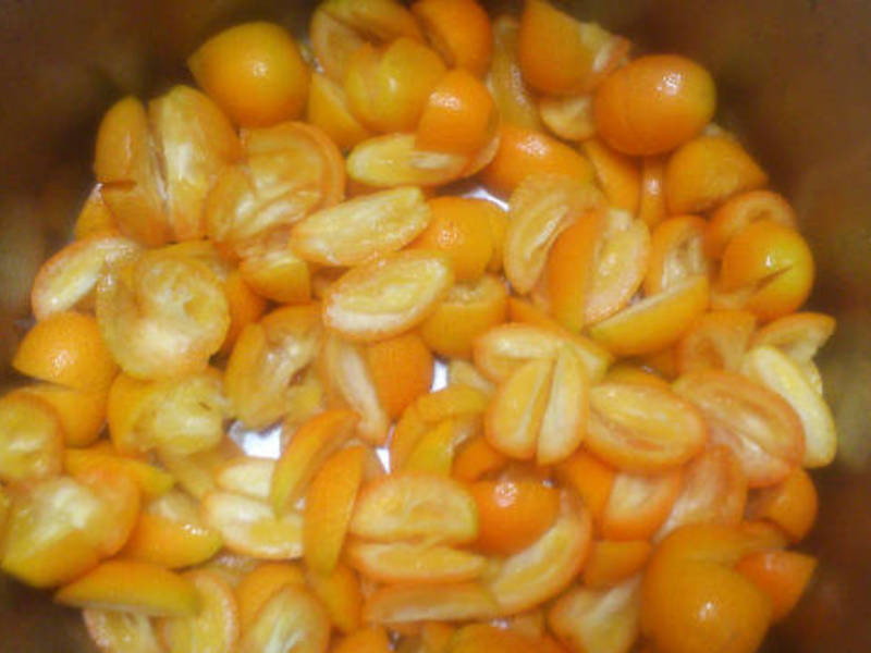 ��۲���(�ɵ�����ʹ��)������