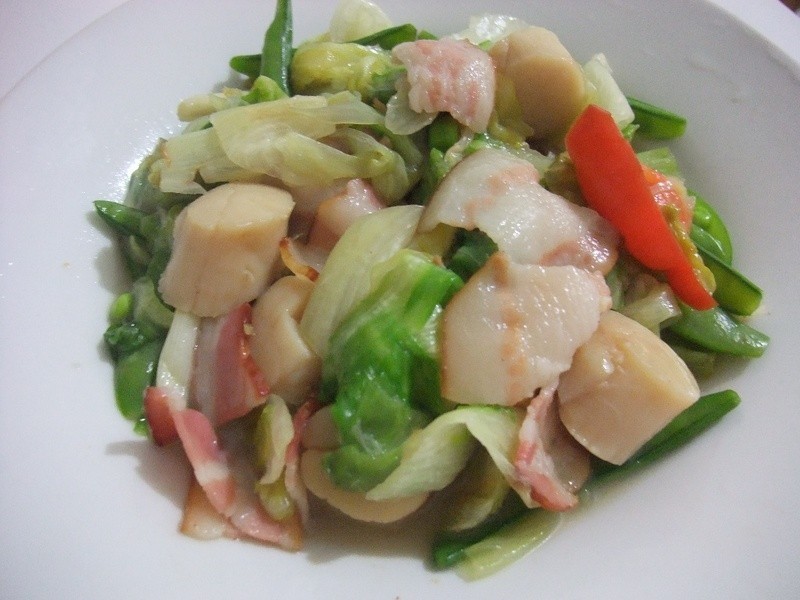 �����ݫ�������