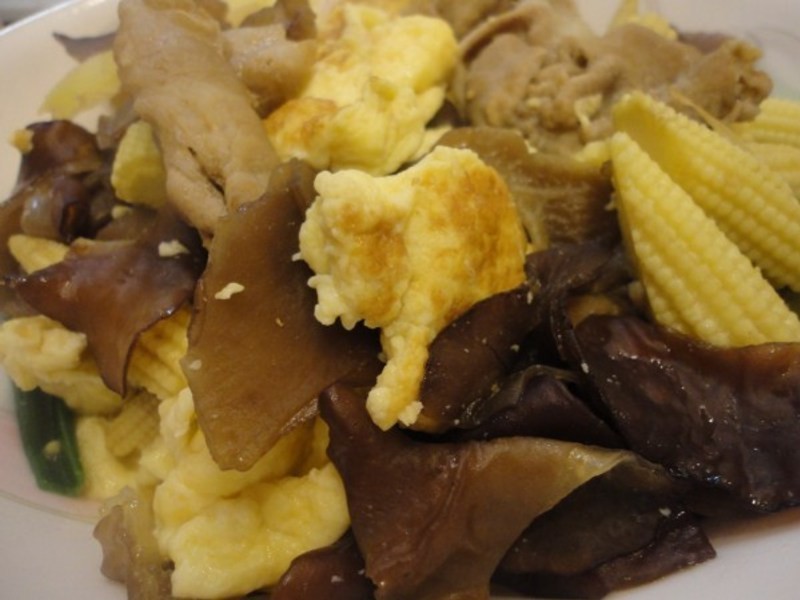 ����������-ľ���������