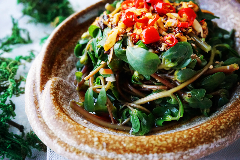 ���������ȵ�����