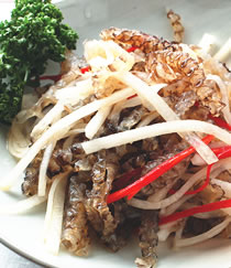 ��������Ƥ������