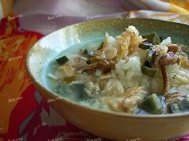 ơ�����Ƥ���������