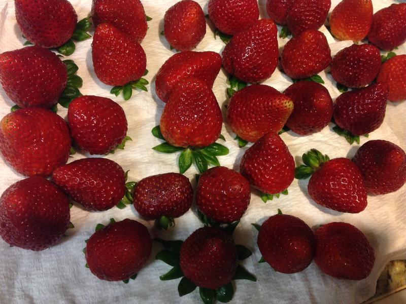 �ɶ����-���ʲ�ݮ�ɿ�����?!!������