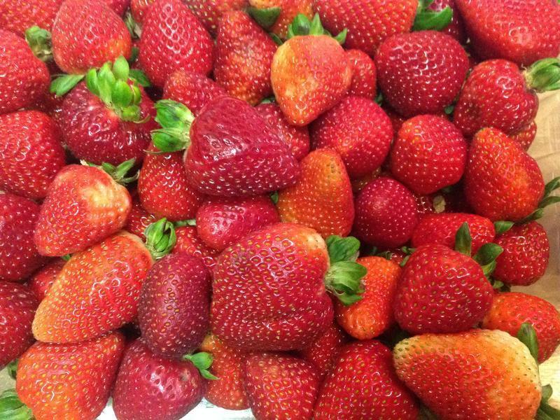 �ɶ����-���ʲ�ݮ�ɿ�����?!!������