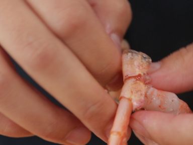 з�⺣��ɫ��������