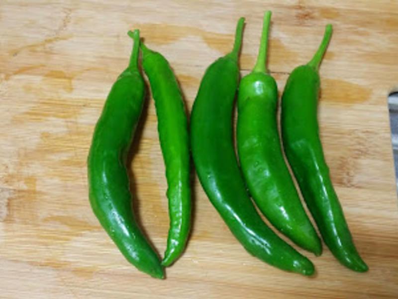 ���������????????������