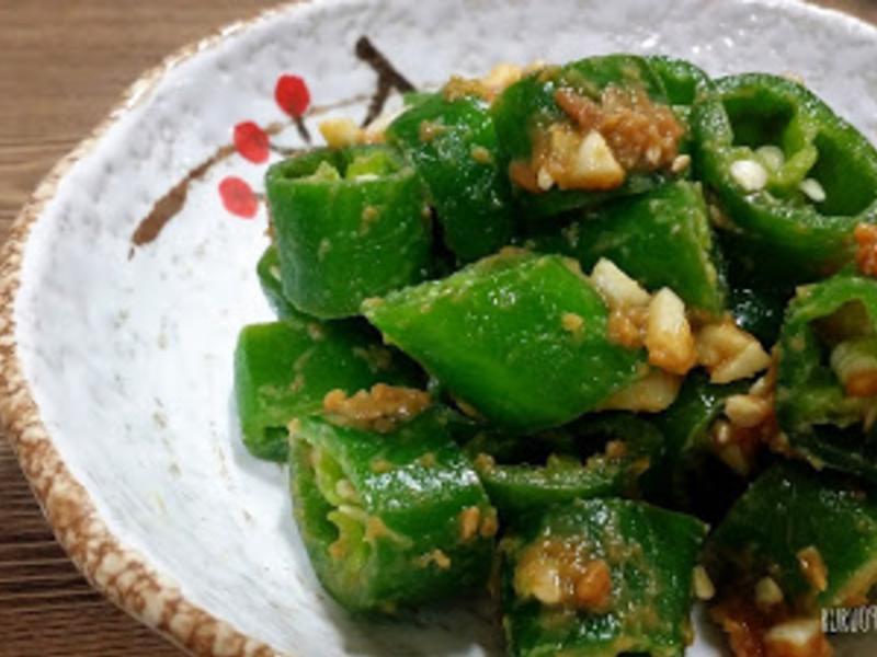 ���������????????������