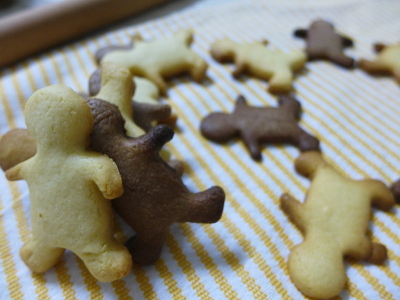 ����ѹģ���ɵ�����