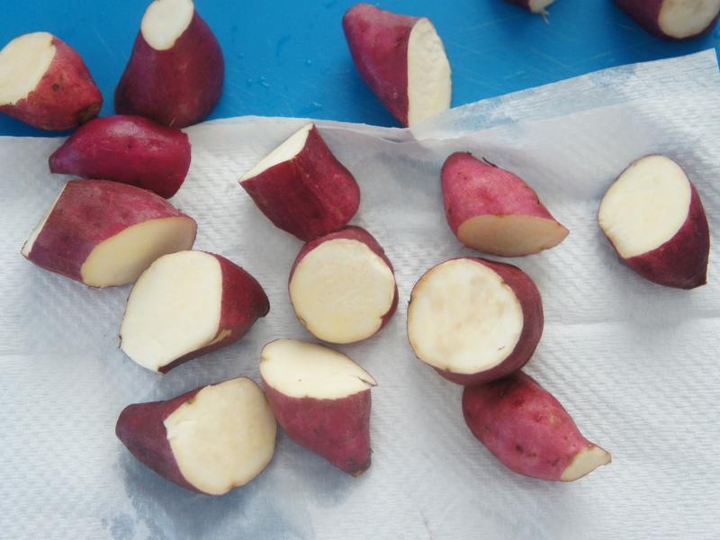 ��ʽ��ެ��������