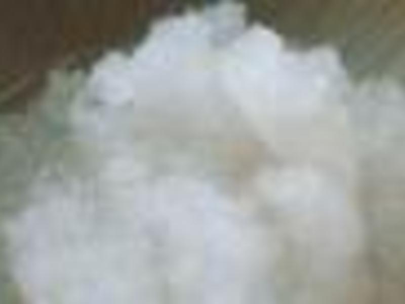 ��ľ��ʽմ�������