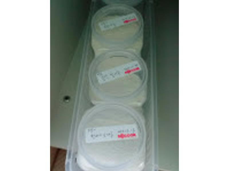 ���������ܽ���ʳ�����ɷ�������