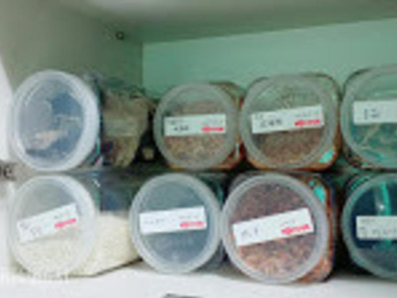 ���������ܽ���ʳ�����ɷ�������