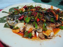 ���������������