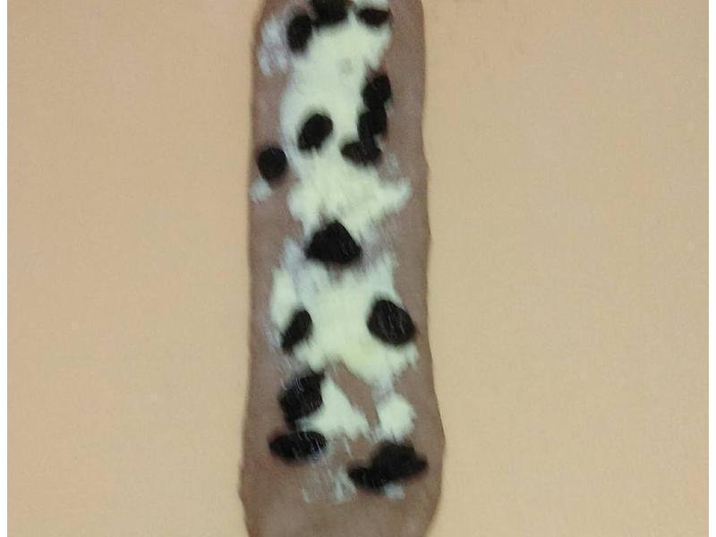 ���ʿɿ��������Ѹ���˾������