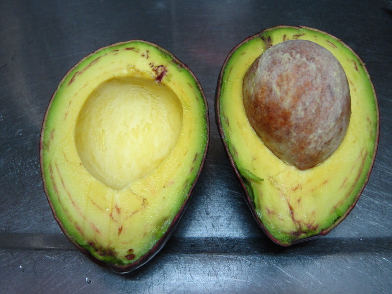 ����ɳ����̦��-���ӳ�����Ԫ��ɽ��̦��������