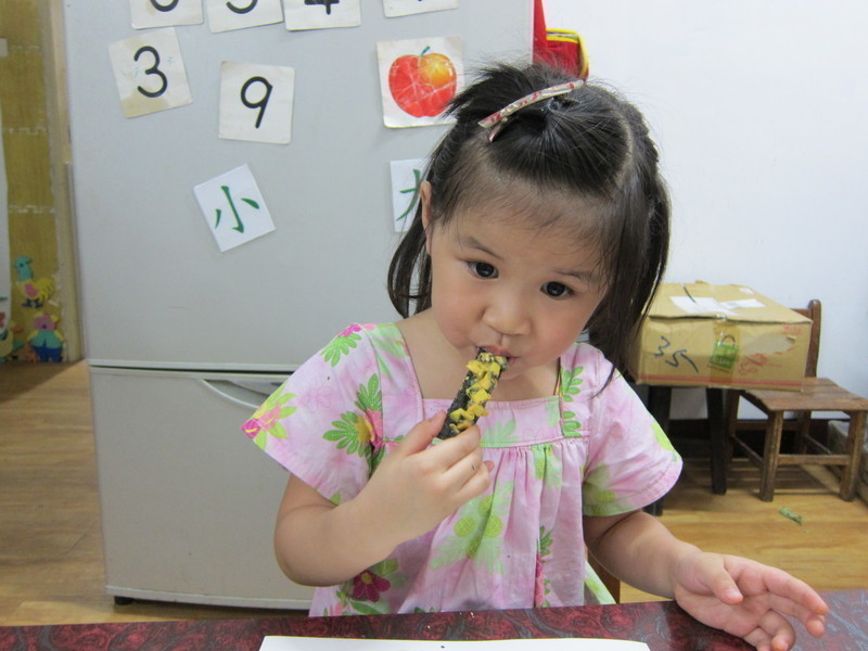 ����ɳ����̦��-���ӳ�����Ԫ��ɽ��̦��������