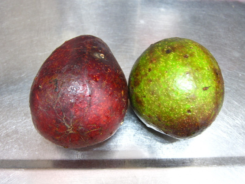 ����ɳ����̦��-���ӳ�����Ԫ��ɽ��̦��������