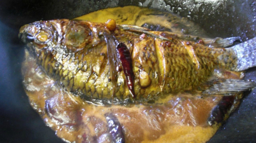 ¯��������������