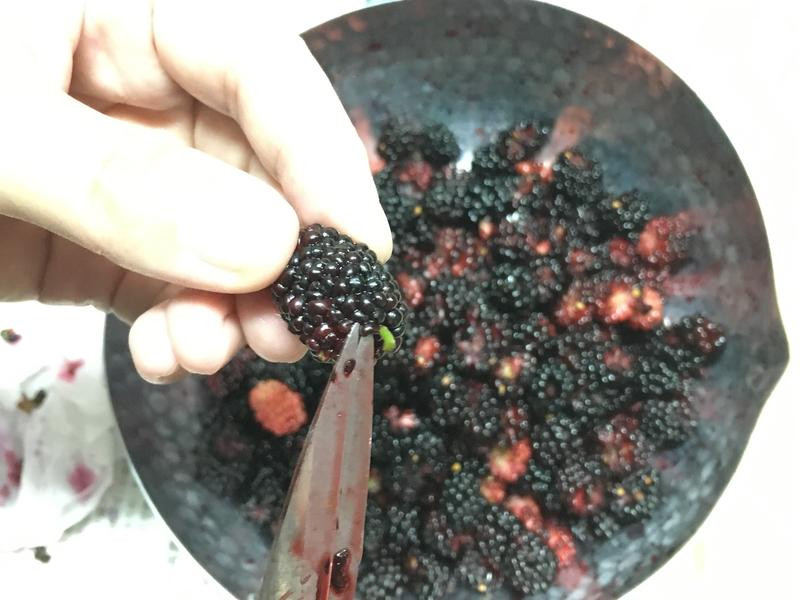 ɣ驹�����Ũ����֭������