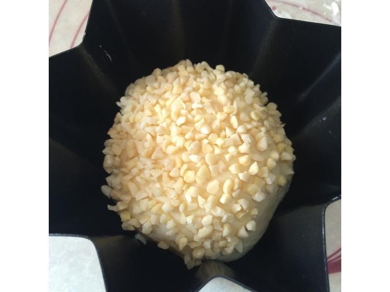 �����������Ǳ�������