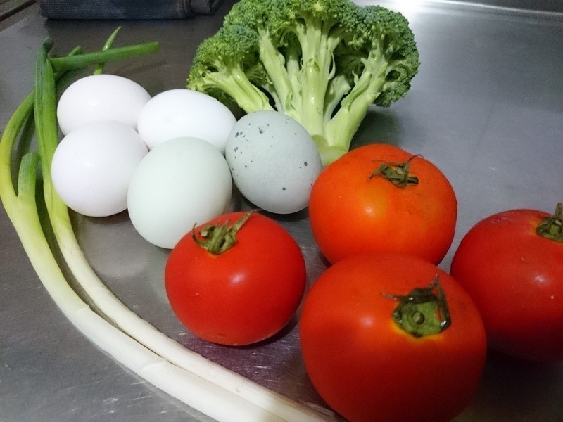 ��ɫ����ެ�ѵ�����