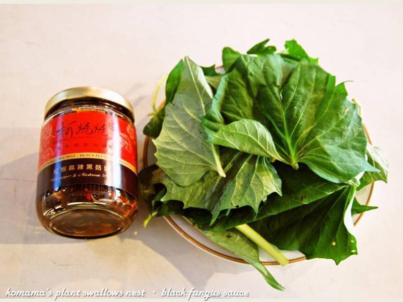 ������ľ����ع�Ҷ��������