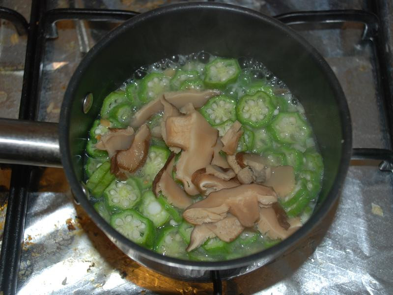 ���׵�׶���������