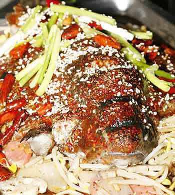 ̩����ζ���������