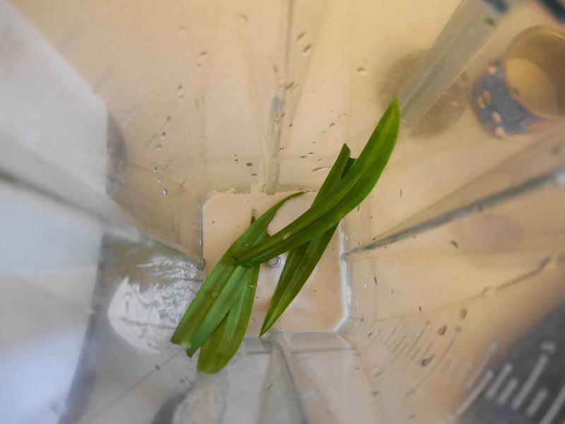 ��ľ���������