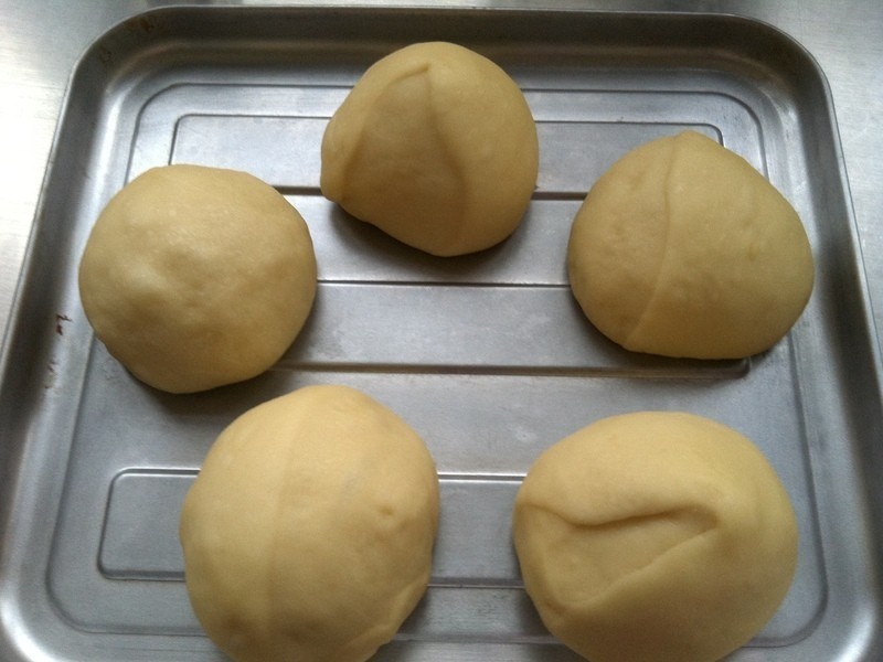 ����ţ�����������