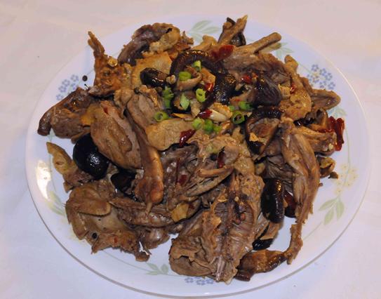 �����������ܺóԵ�����