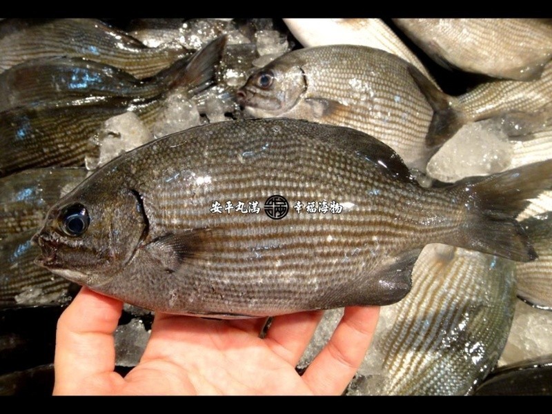 ���Ҹ����������ë���������